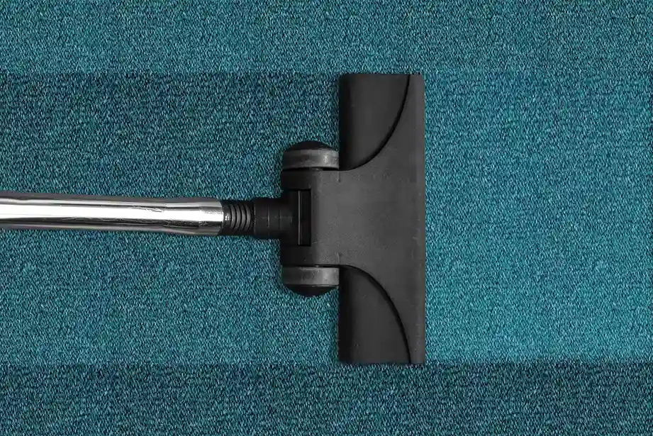 Professional Carpet Cleaning Sydney
