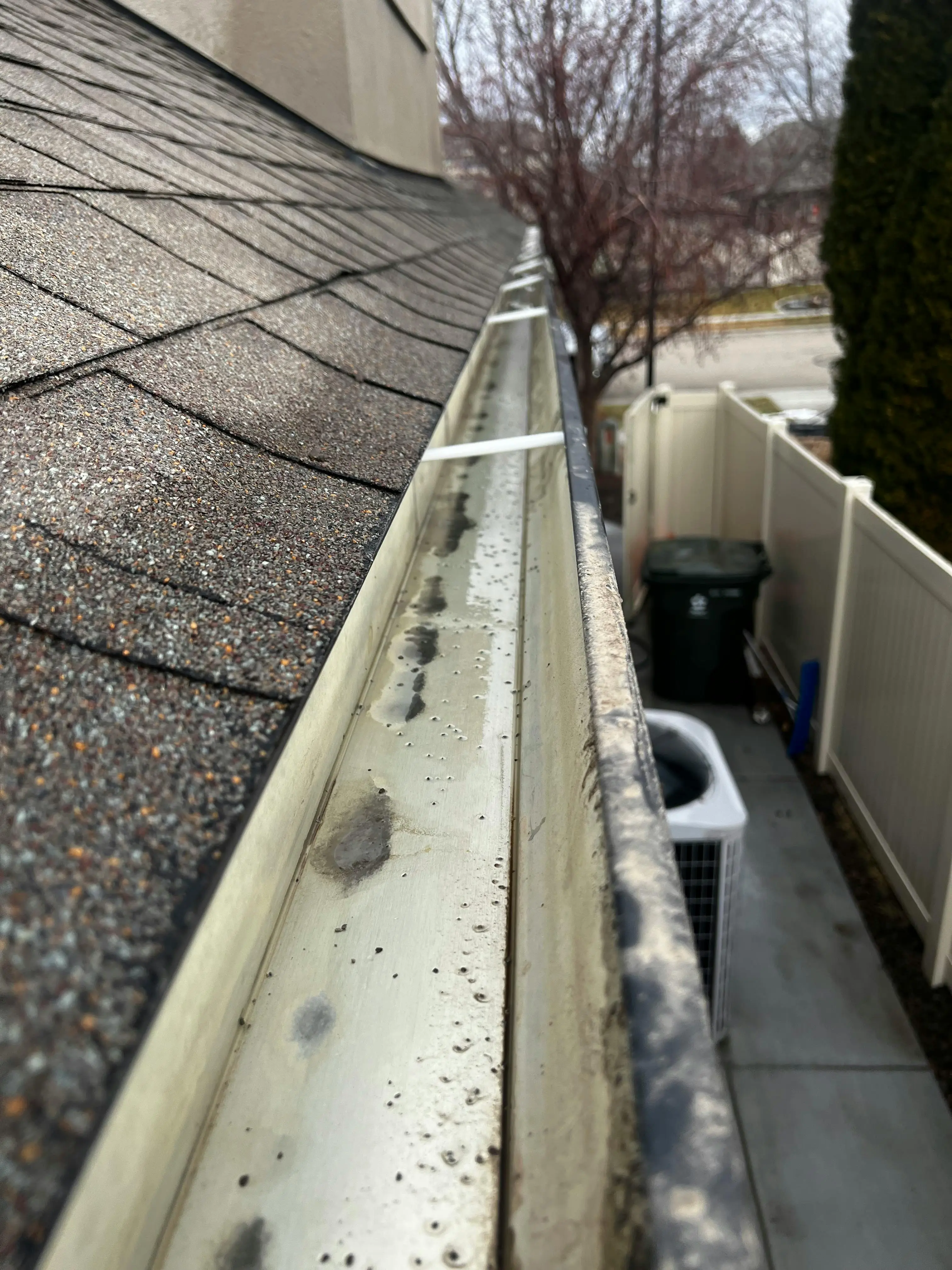 Fully restored roof after professional cleaning.