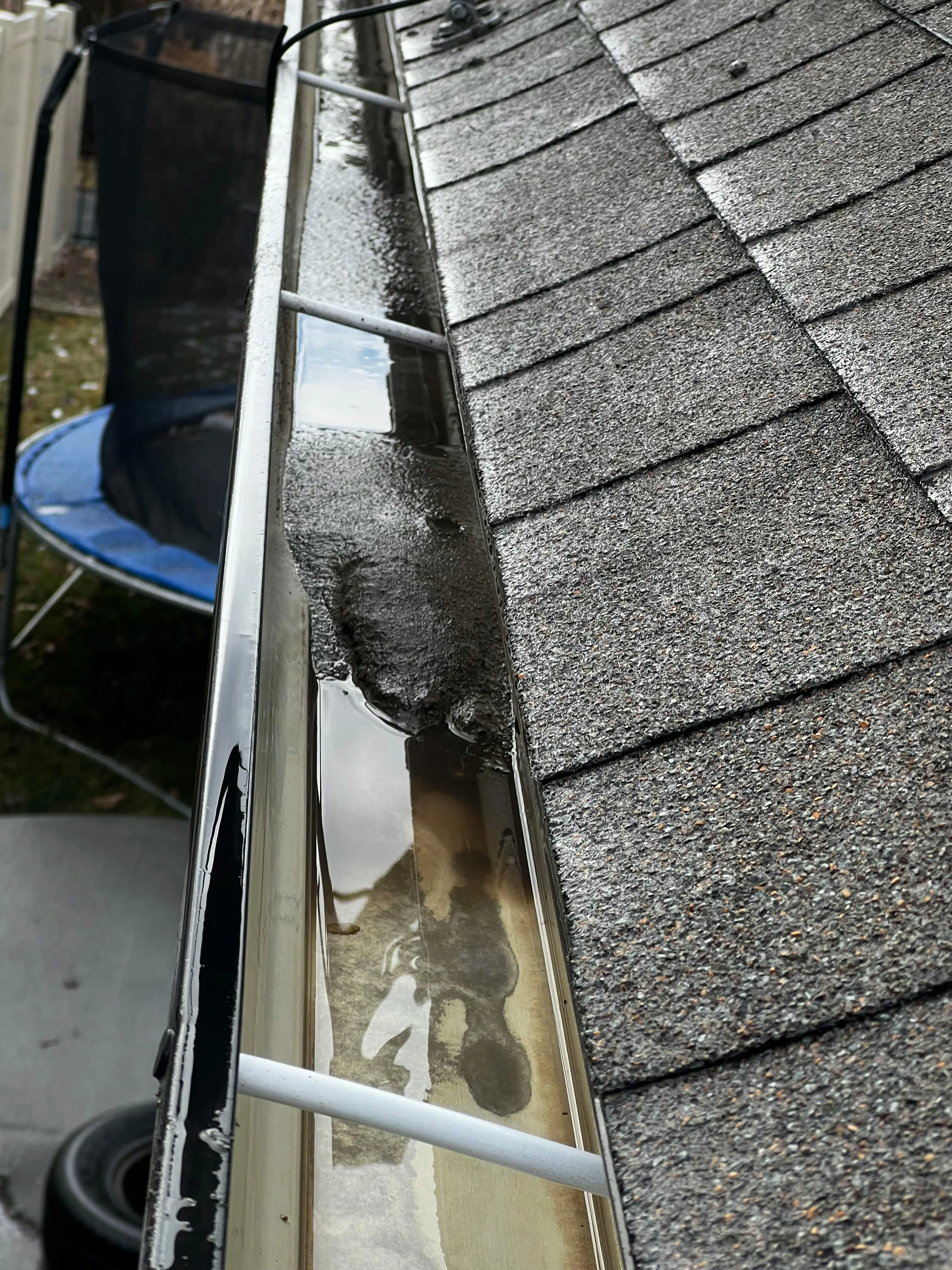 Roof heavily covered in moss and algae before cleaning.