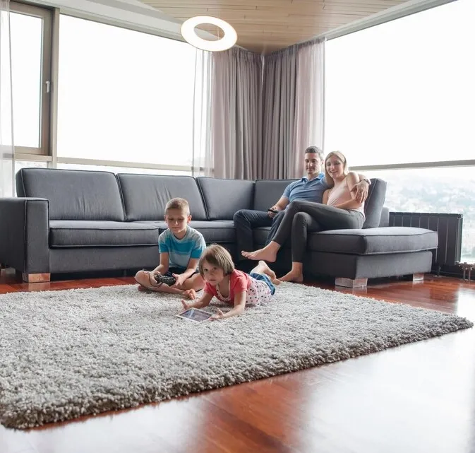 Professional Cleaning Service